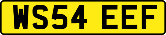 WS54EEF