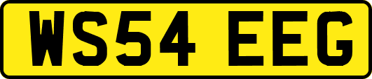 WS54EEG
