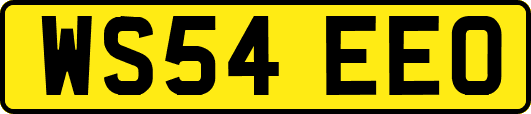 WS54EEO