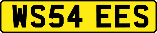 WS54EES