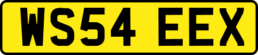 WS54EEX
