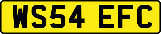 WS54EFC