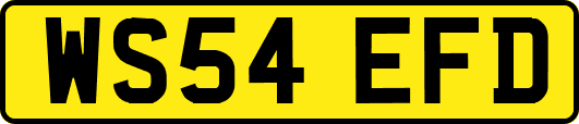 WS54EFD