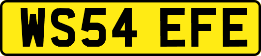 WS54EFE