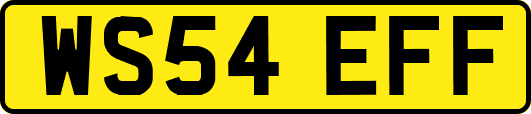 WS54EFF
