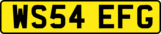 WS54EFG