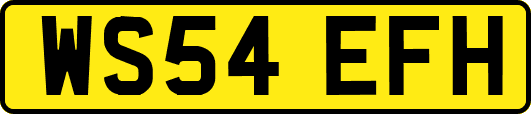 WS54EFH