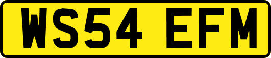 WS54EFM