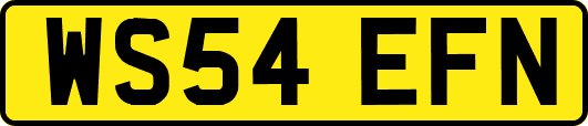 WS54EFN