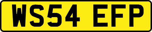WS54EFP