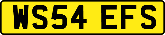 WS54EFS