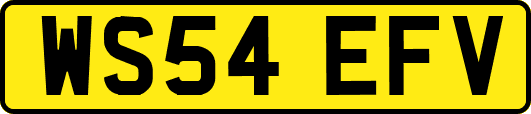 WS54EFV