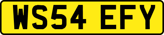 WS54EFY