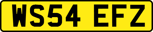 WS54EFZ