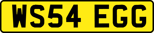 WS54EGG