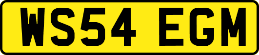 WS54EGM