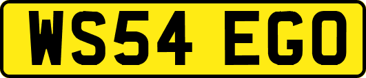 WS54EGO