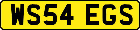 WS54EGS