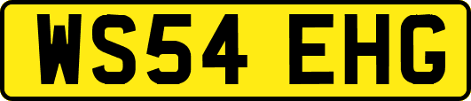 WS54EHG