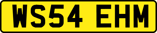 WS54EHM