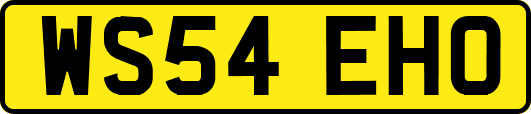 WS54EHO