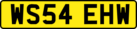 WS54EHW
