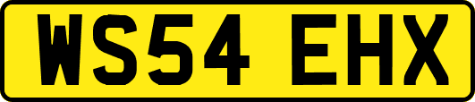 WS54EHX