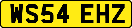 WS54EHZ