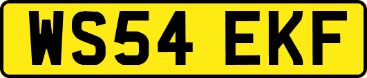 WS54EKF