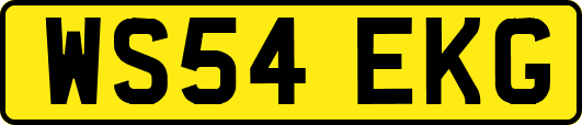 WS54EKG