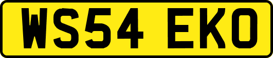 WS54EKO