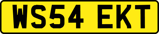 WS54EKT