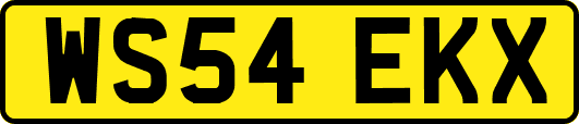 WS54EKX