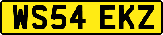 WS54EKZ