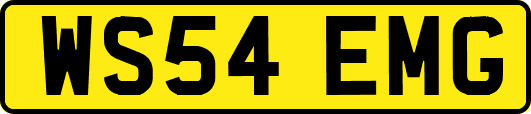 WS54EMG