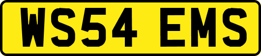 WS54EMS