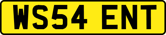 WS54ENT