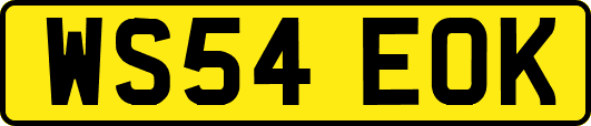 WS54EOK