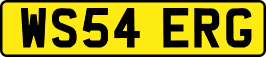 WS54ERG