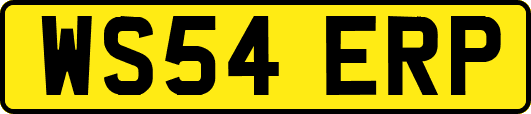 WS54ERP