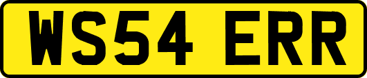 WS54ERR