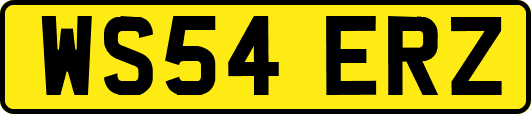 WS54ERZ