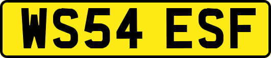 WS54ESF
