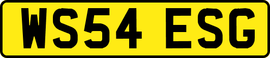 WS54ESG