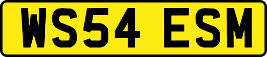 WS54ESM