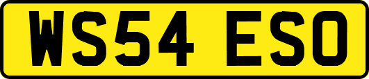 WS54ESO