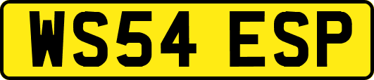 WS54ESP