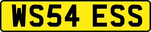 WS54ESS