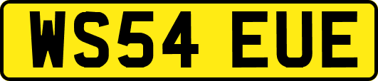 WS54EUE