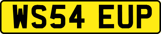 WS54EUP